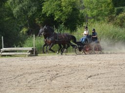 DSC_9186_web